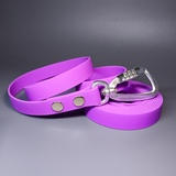 R-Dog     Lite,   ,  
