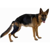 Kruuse Rehab Hock Protector протектор сустава на правое колено собаки