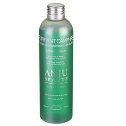 Anju Beaute очищающий, дезодорирующий шампунь "Очищающая камфора" (Purifiant camphre Shampoo), 250 мл.