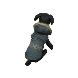 Papillon  "Woof"