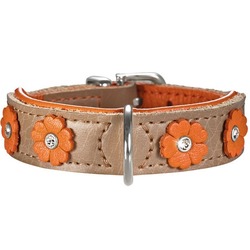 Hunter  Daisy   ,  
