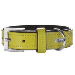 Hunter  Capri, 
