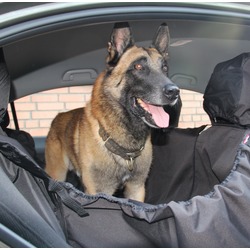 OSSO Car Premium 3 в 1 Автогамак с защитой обивки дверей, для перевозки собак, цвет темно-серый