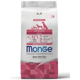 Monge Dog Speciality корм для собак всех пород говядина с рисом Dog All Breeds Beef and Rice