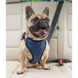 Solvit шлейка для перевозки собаки в автомобиле Deluxe Car Safety Dog Harness, размер M
