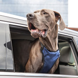 Solvit шлейка для перевозки собаки в автомобиле Deluxe Car Safety Dog Harness, размер XL