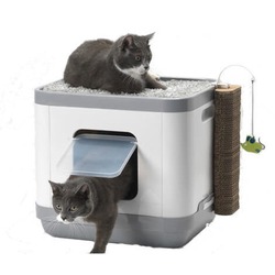 Moderna Cat Concept 4  1 (, , , ) 473943 
