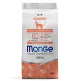 Monge Cat      