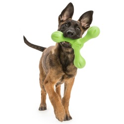 West Paw игрушка для собак перетяжка Zogoflex Skamp 22 см зеленая