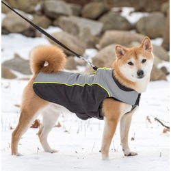 Dog Gone Smart       ,       Meteor Nanobreaker Jacket