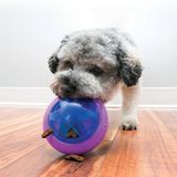 KONG игрушка для собак Hopz мяч для лакомств, с пищалкой, 10 см